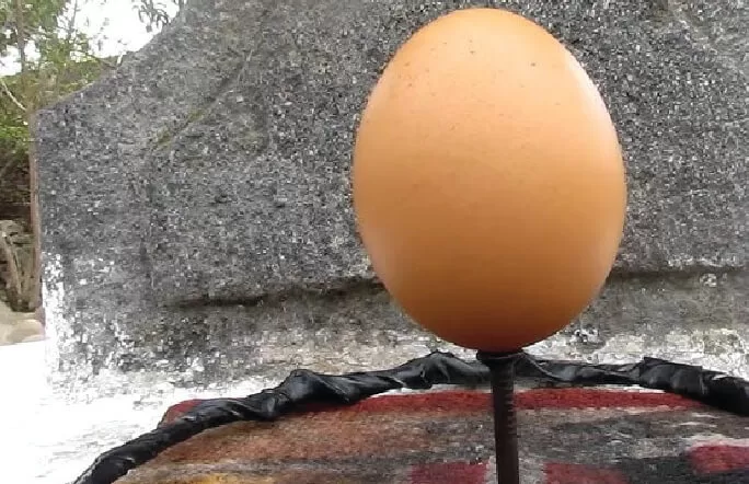 huevo mitad del mundo-01